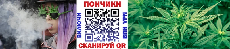 omg сайт  цены наркотик  Козьмодемьянск  Бошки Шишки конопля 